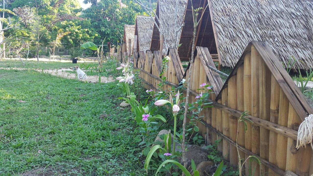 Plumeria Eco-Resort El Nido Cameră foto