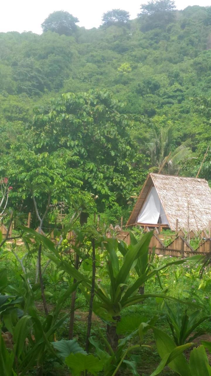 Plumeria Eco-Resort El Nido Cameră foto